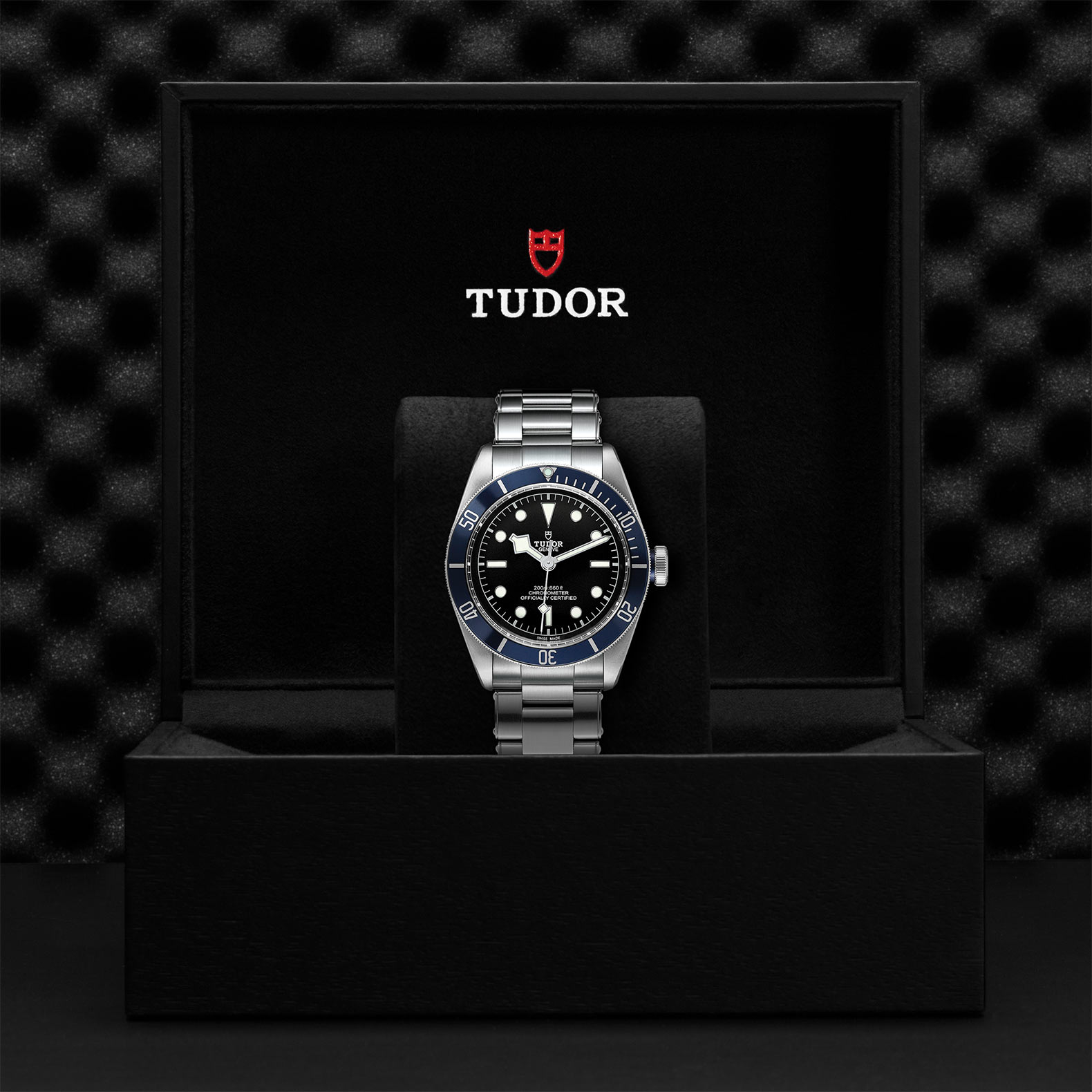 TUDOR Black Bay Blue M79230B 0008 Automatic Watch